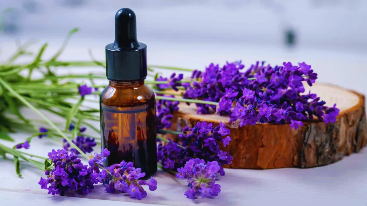 6 Home Remedies for Accident Pain 5 Lavender Essential Oil: Aromatherapy for Pain Relief