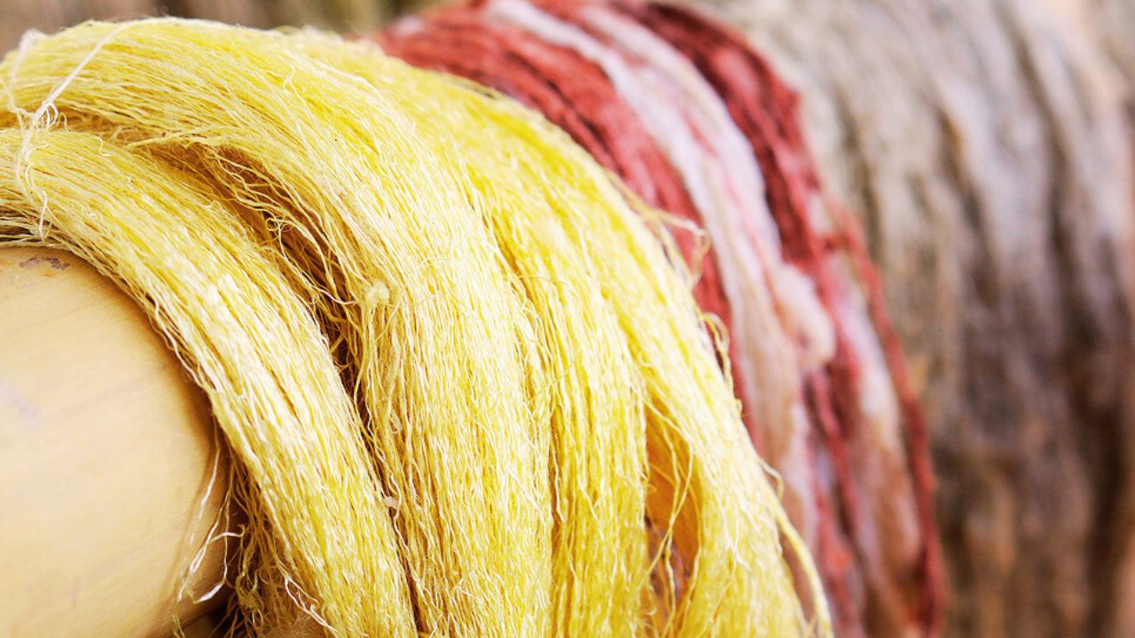 Discovering Assam Silk: India's Silken Treasure 4 Pat Silk - The Radiance Of Assam