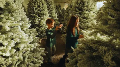 christmas tree