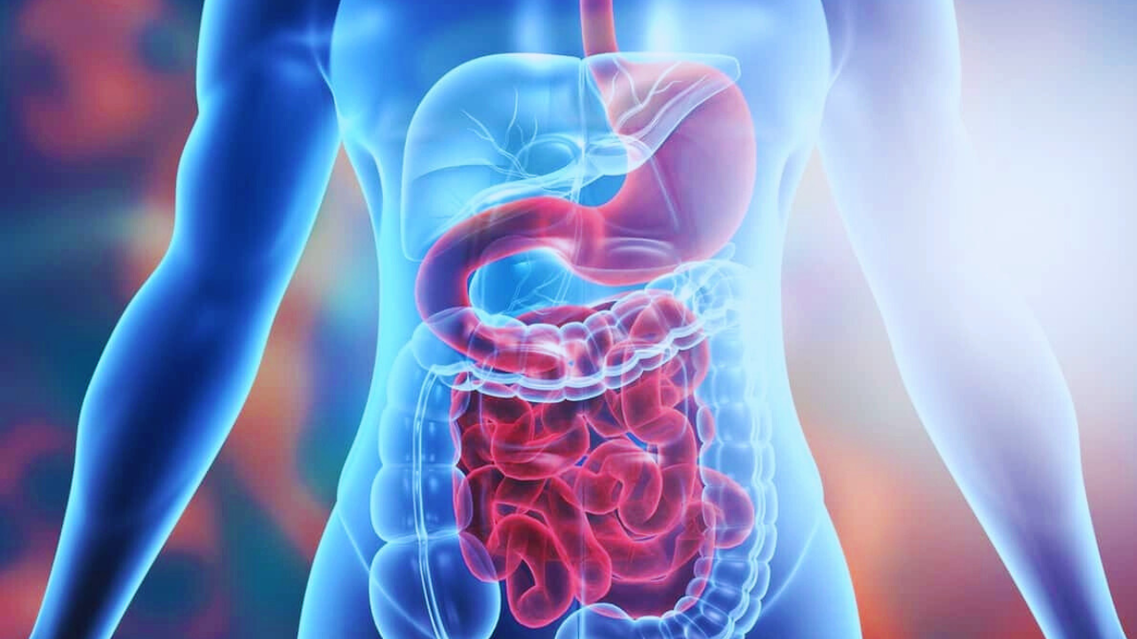 The Hid den Health Benefits of Tea 6 Digestive Health