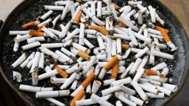 FDA Proposes Groundbreaking Nicotine Reduction in Cigarettes – What’s Next?